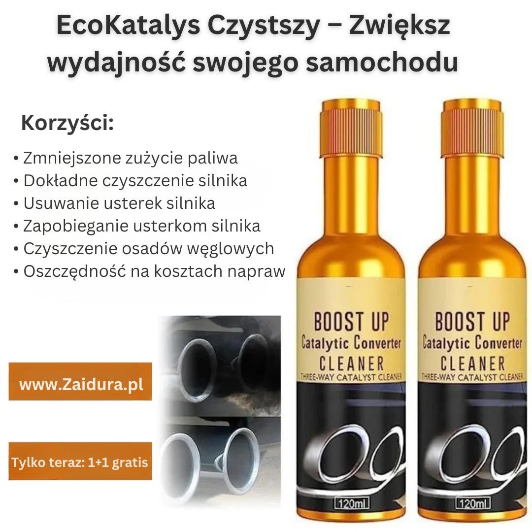 Catalytic Cleaner | Skuteczny środek do czyszczenia katalizatora poprawiający wydajność silnika